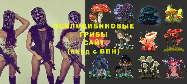 PSILOCYBIN Балабаново